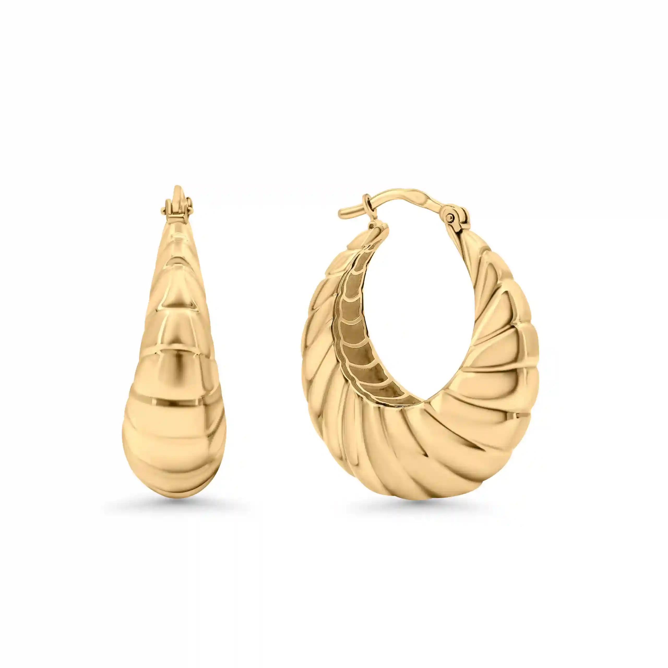 Bianca Gold Earrings hover
